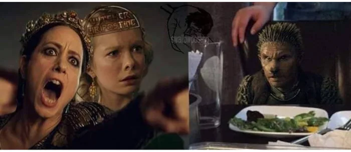 Ведьмачья версия мема с котом