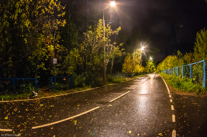 Дождливая осень | Пикабу