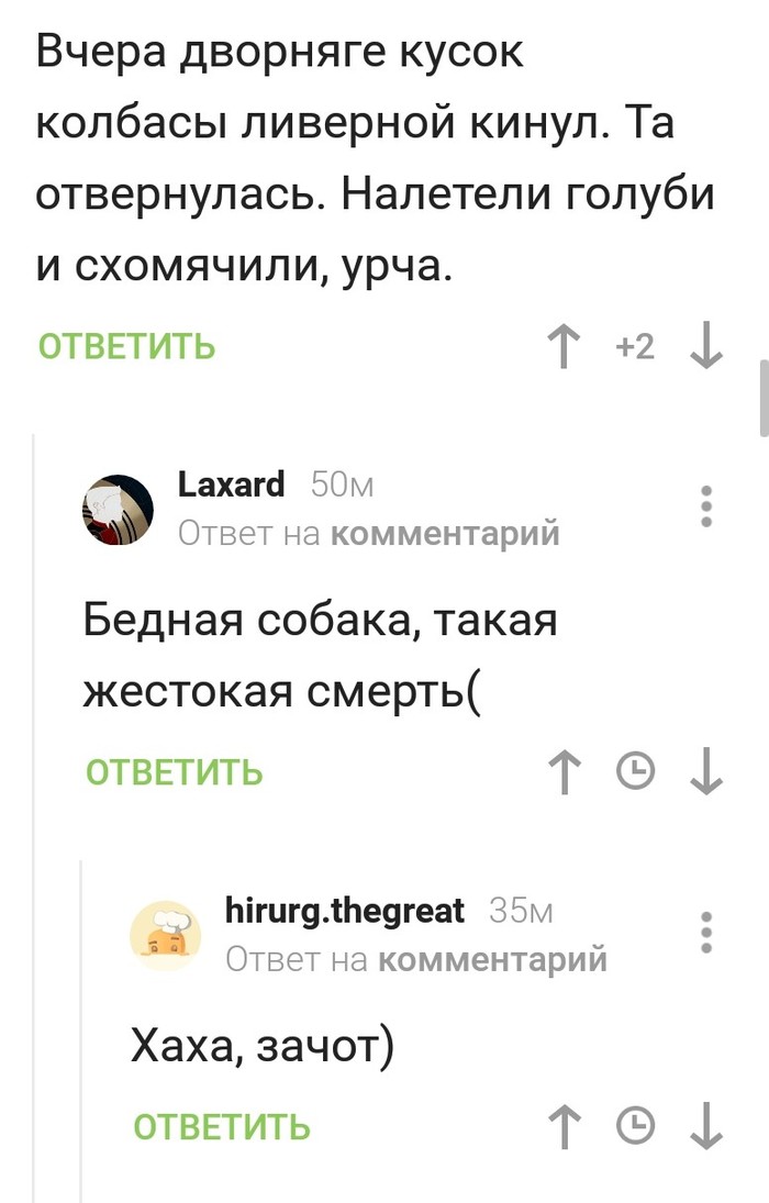 Бедная собака