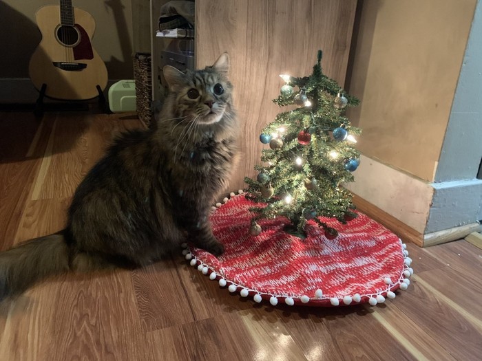 ��� � ������� �������