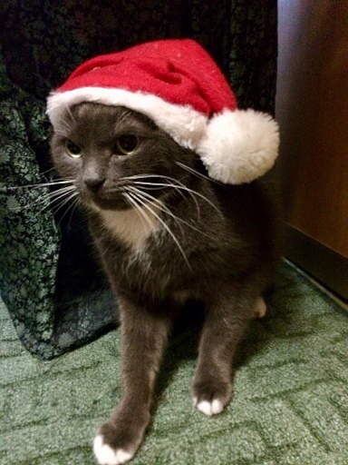 � �����������!