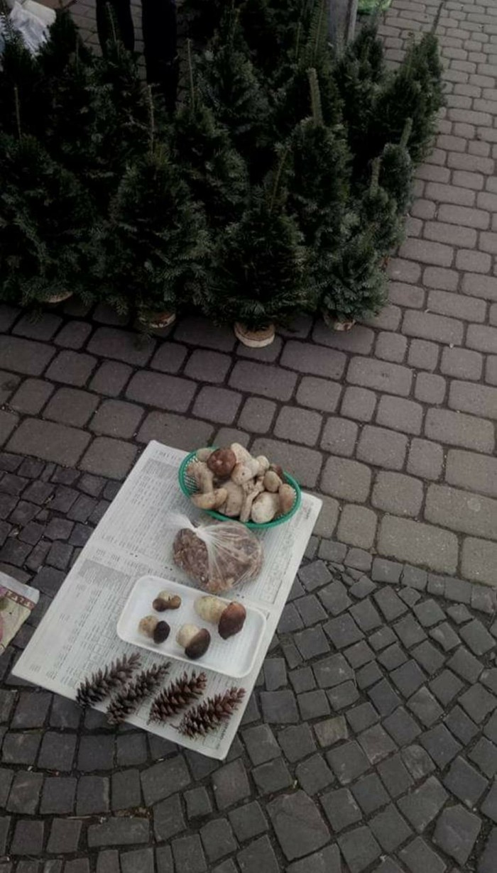 Ужгород предновогодний