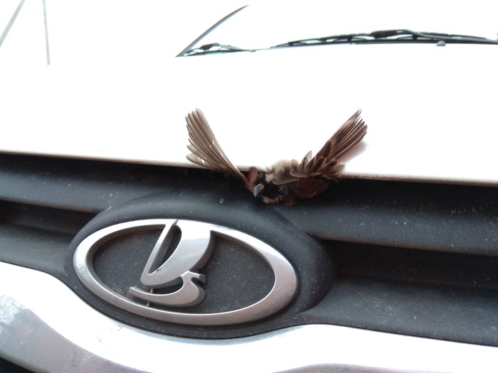 �� ��� ������������