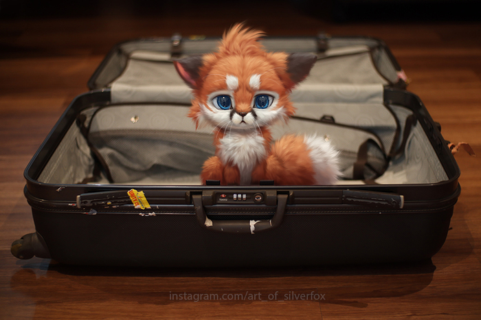 "1 more day before flying off to the US. Don't give me that look, I'm not bringing you along." Silverfox5213, Лиса, Арт