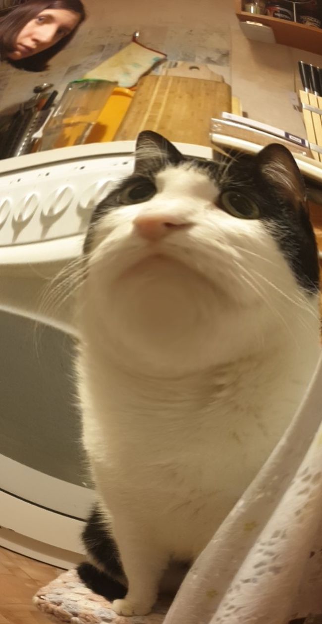 ����� ���� �����������, �� ������ �� �������...