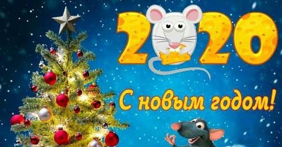 11 января 2025 год. С новым 2025 годом картинки с пожеланиями учащимся.