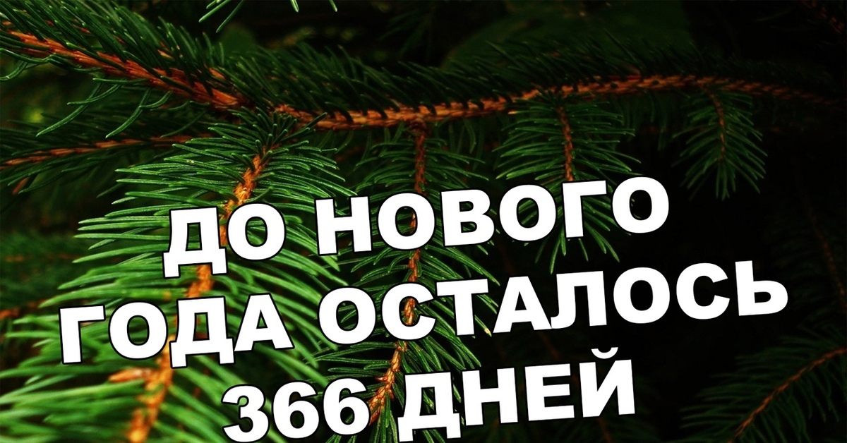 Время до нового года таймер. Отсчёт до нового года пошёл картинка.