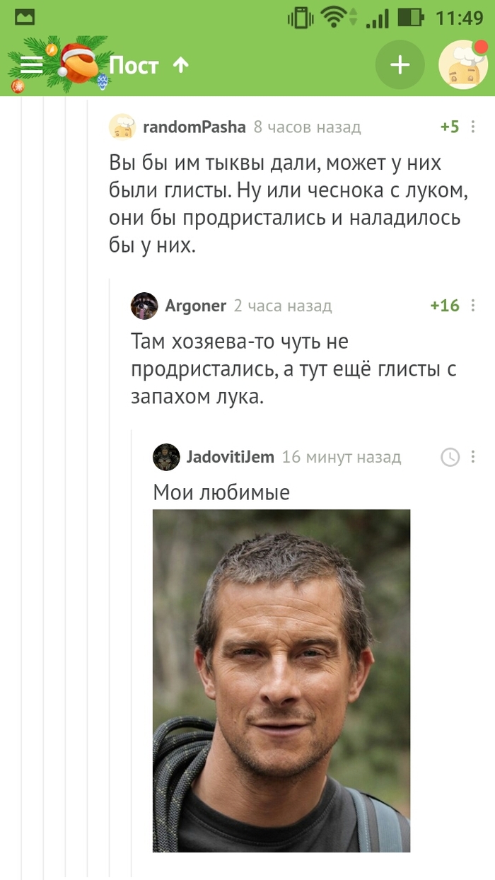 Рецепты от Беара