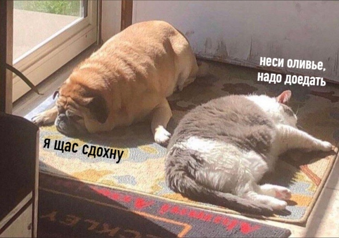 Доедаем салаты