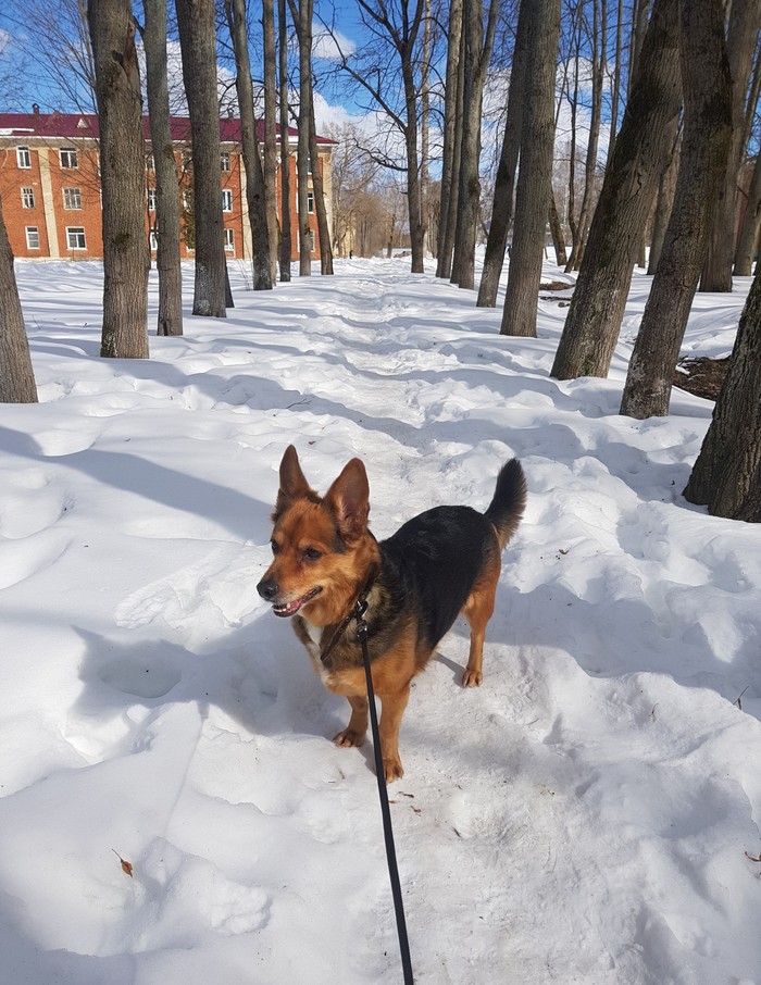 ������-������