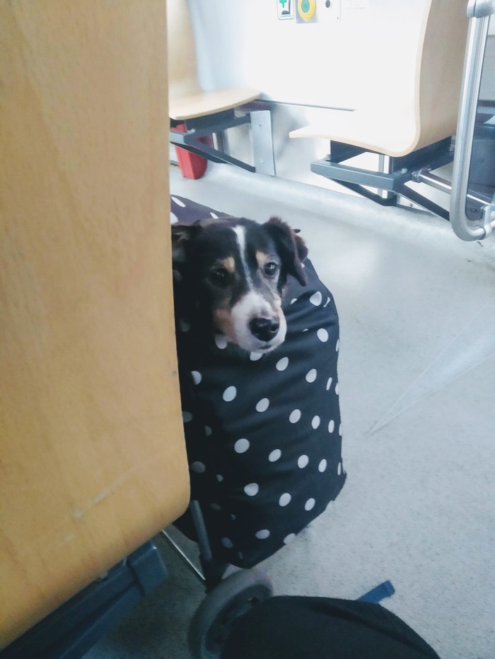 ��, ����������)