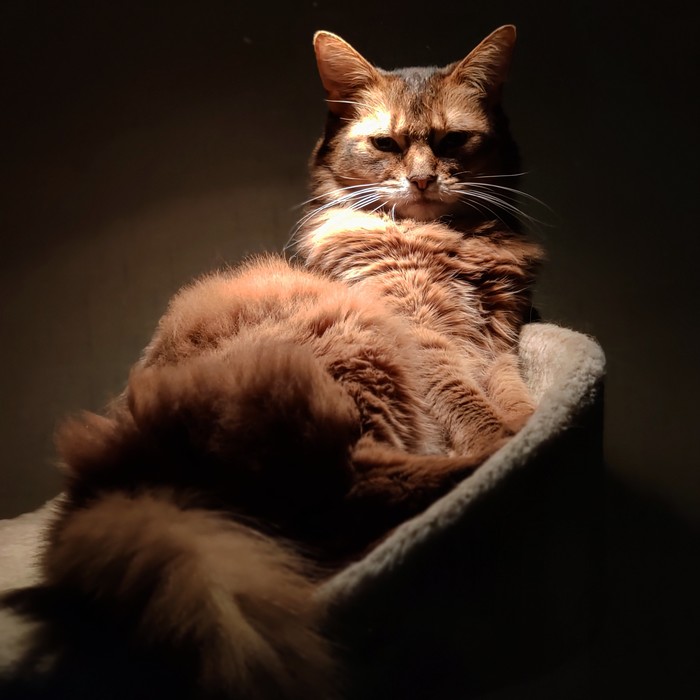 Старушка Василиса