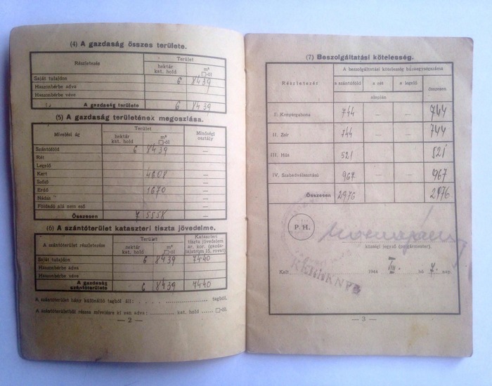 В США на заработки, или сколько мой дед заработал в 1928 году... История, Украина, Закарпатье, Работа, Банк, Зарплата, США, Заработок, Длиннопост