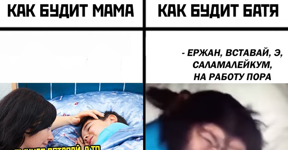 Вставай дура