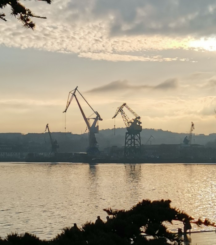 Семья портовых кранов на закате