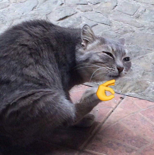 ���������� 80-�� ���