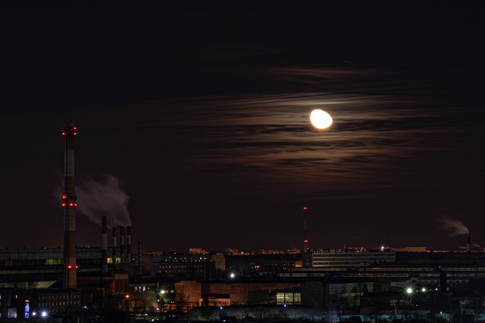 ���� ��� ���������