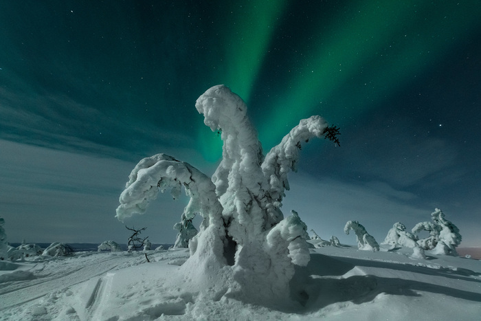    2020  , Aurora borealis, , Nikon d750, 