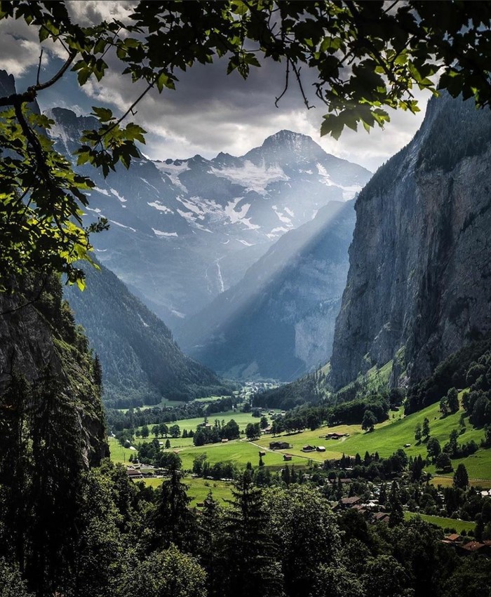 ������ ���������