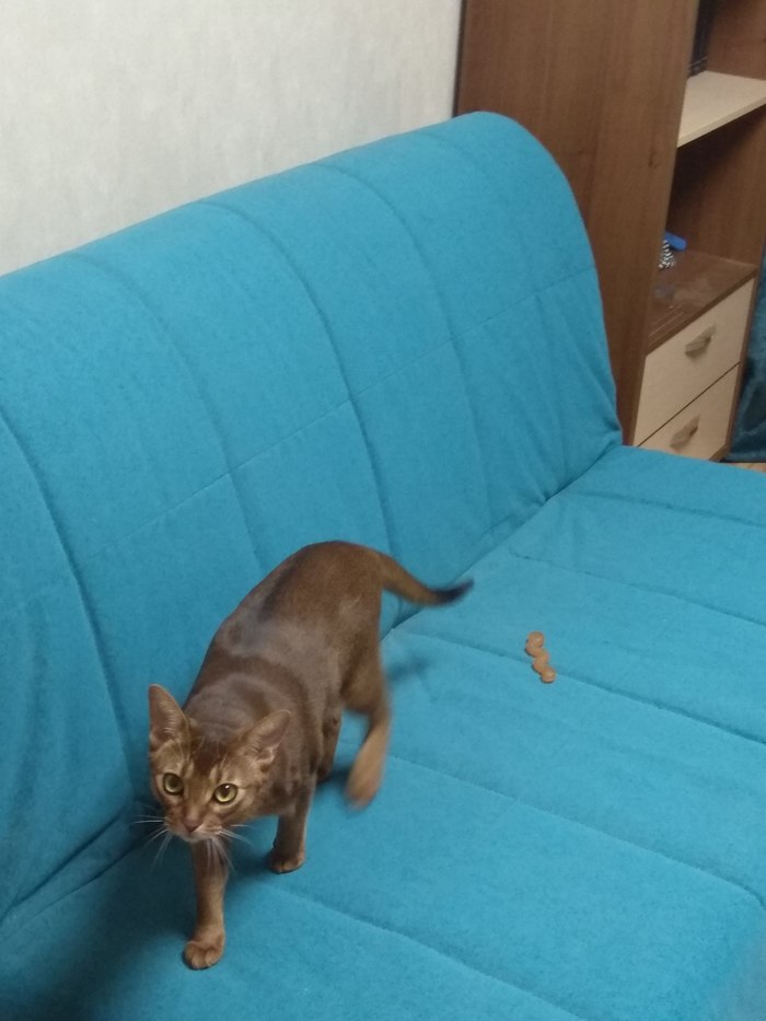 �, �� ��?!� �� ������ ������������� ��������! ... � �� �� ��������?...