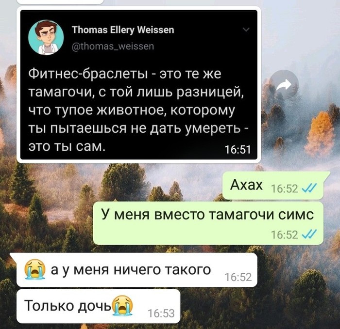 �������� ��������� ��������