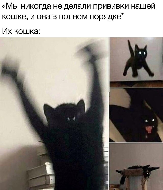Кошка антипрививочника)