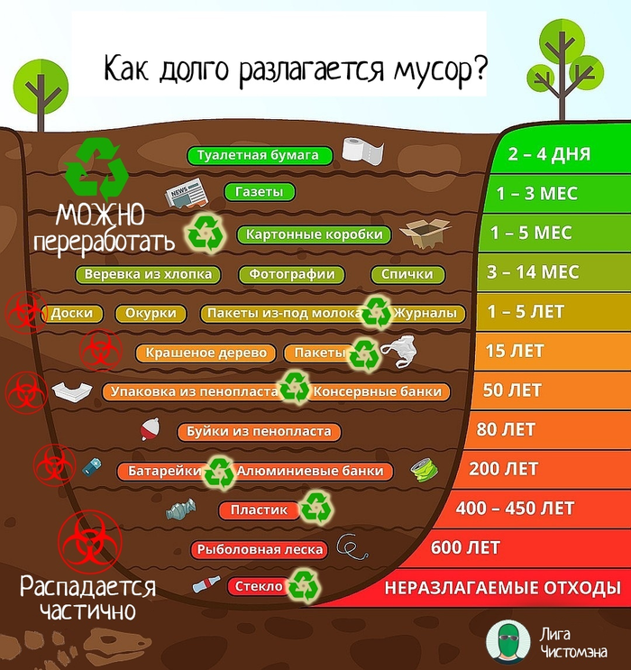 Как долго разлагается мусор картинка