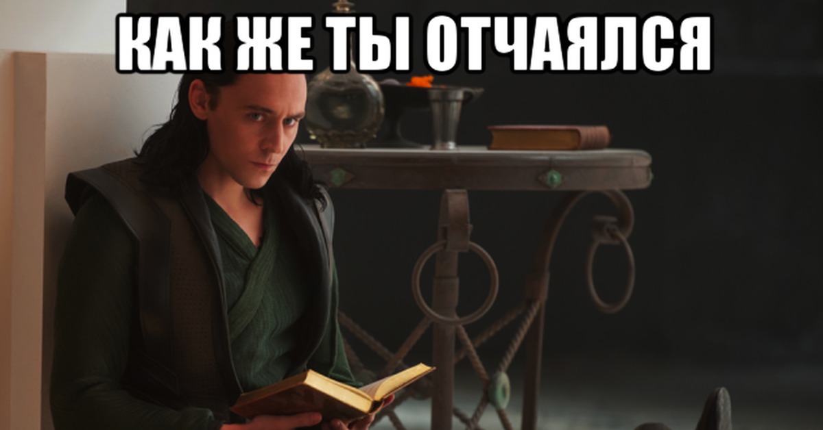 прикольные подписи под картинками с котами. совсем занятой. совсем занятой. совсем занятой. хорошо поспать и отдохнуть.