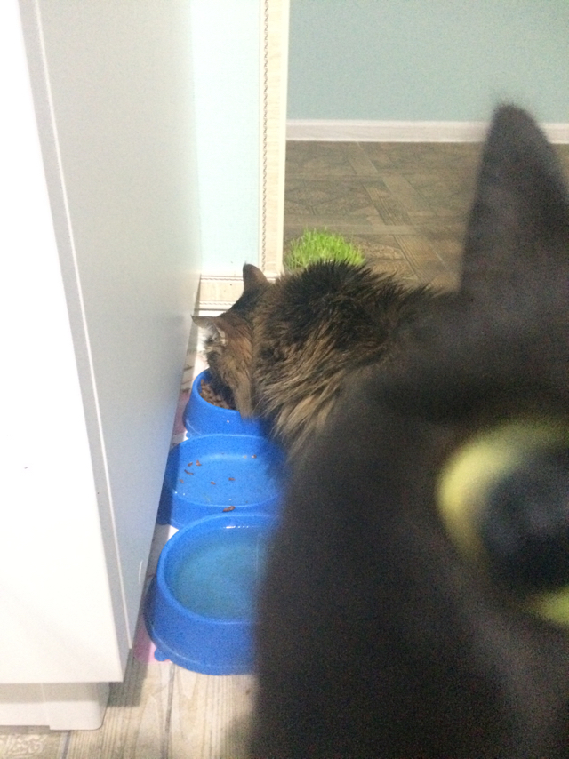 � ��� ��� �����?