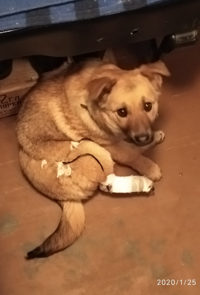 ���������, �� �������