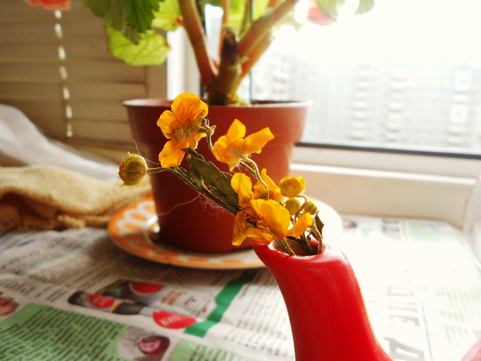 ������ ���������