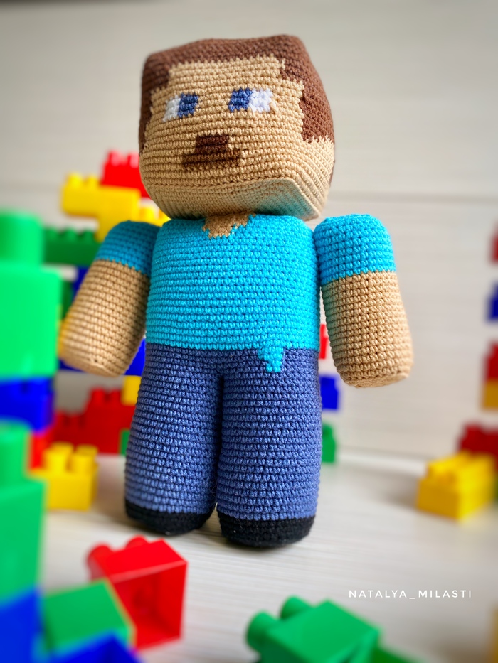 Steve Minecraft.      Minecraft,  ,  , 