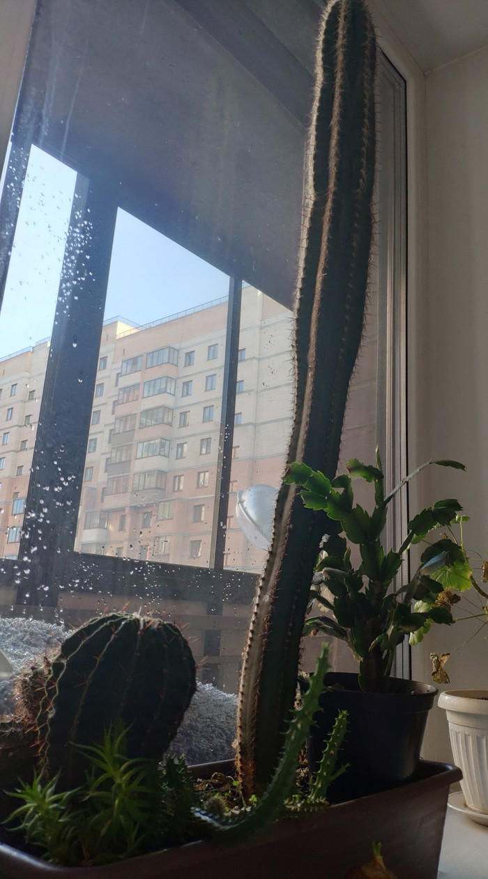 ��������� � ���� ��������� � �������� ������ ������������ � ����� �������, � ������������ ����� �� ���