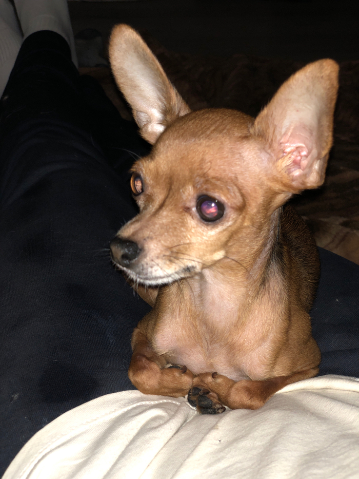 ������� ��� ����������