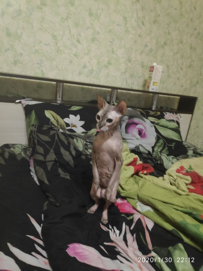       , 