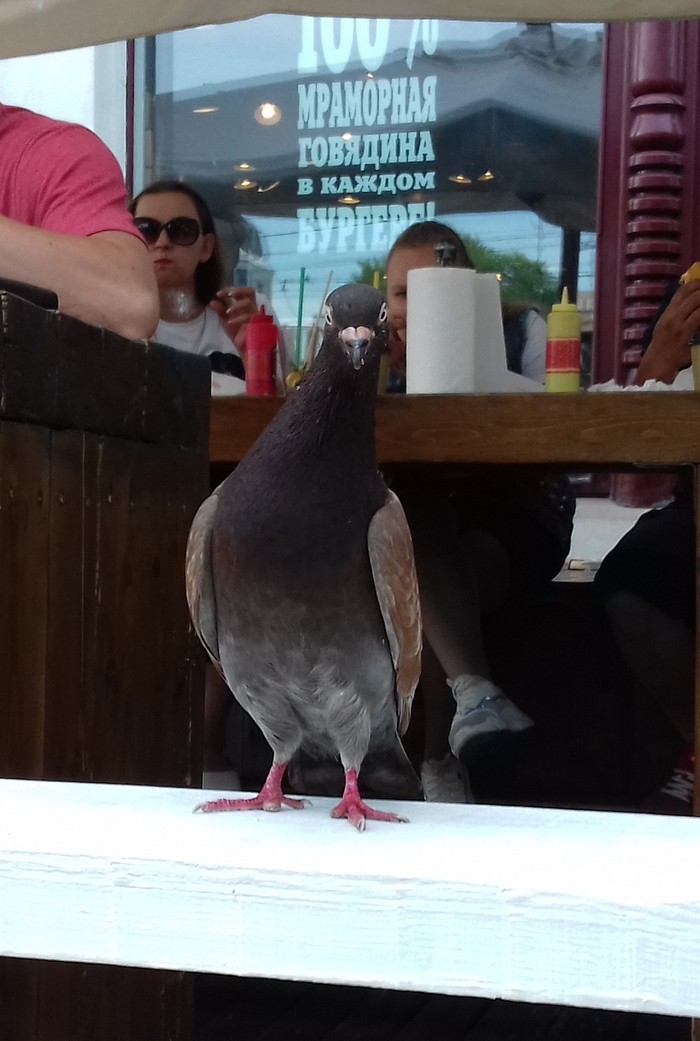 �� ��, ����� ����? � ���� �����?