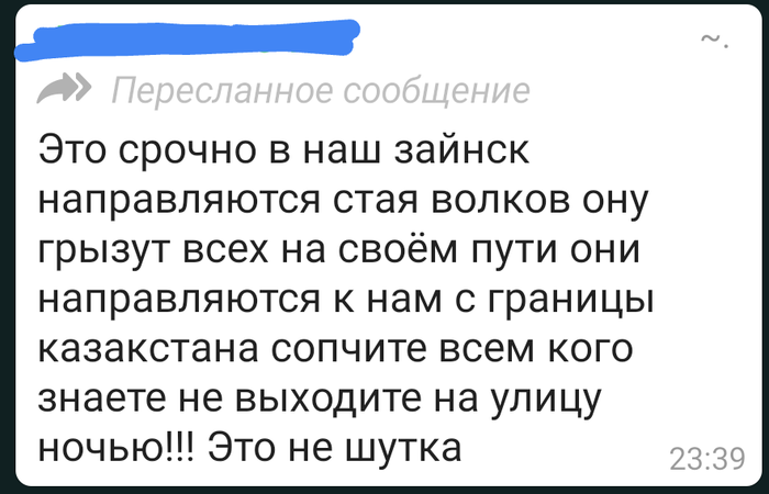 волк на что способен. Смотреть фото волк на что способен. Смотреть картинку волк на что способен. Картинка про волк на что способен. Фото волк на что способен