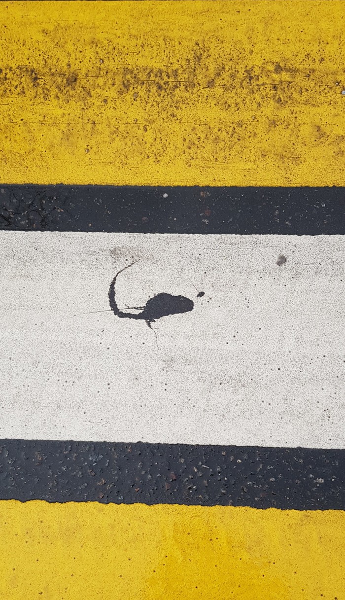   , ( ,  