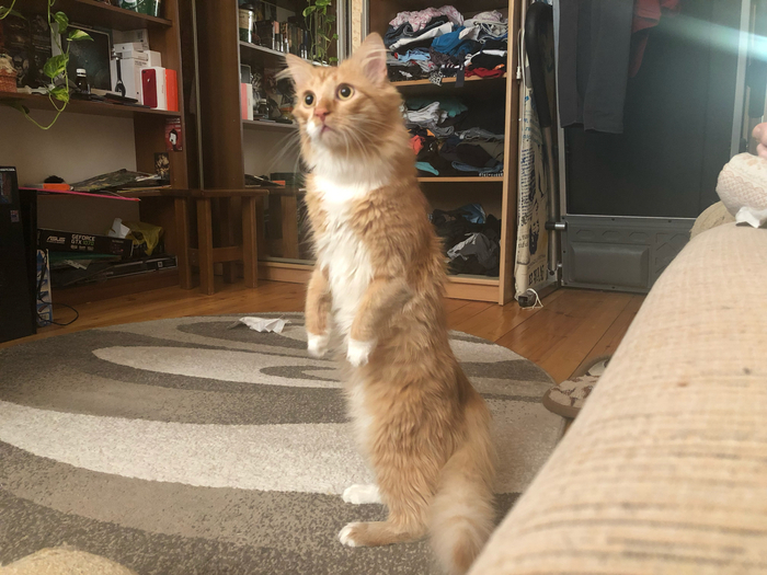 ������� ������� ������ �����. (������ ������������ ����)