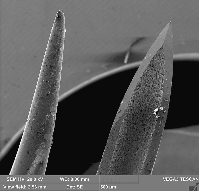 Новая игла шприца и старая игла ежа в электронном микроскопе