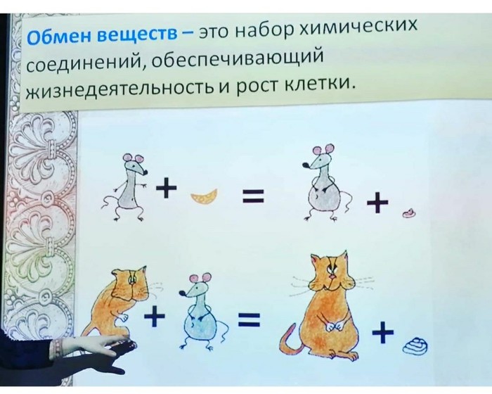 Обмен веществ...