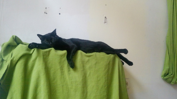 ��� ����