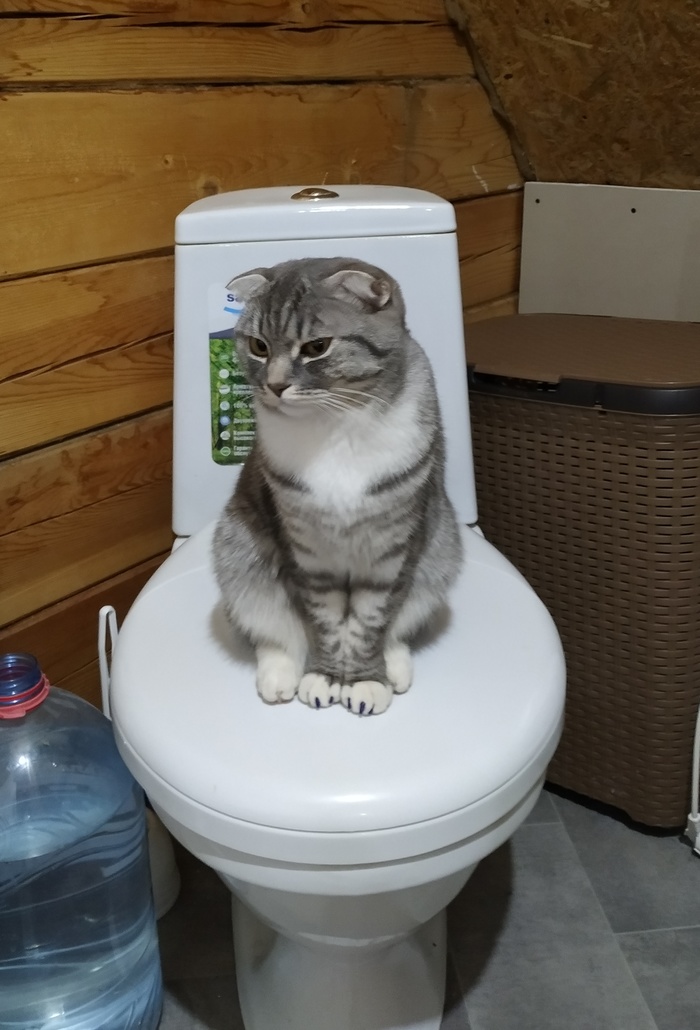       , 