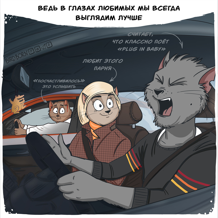 В глазах любимых мы всегда выглядим лучше Bird Born, Комиксы, Юмор, Кот, Отношения, Любовь, Длиннопост