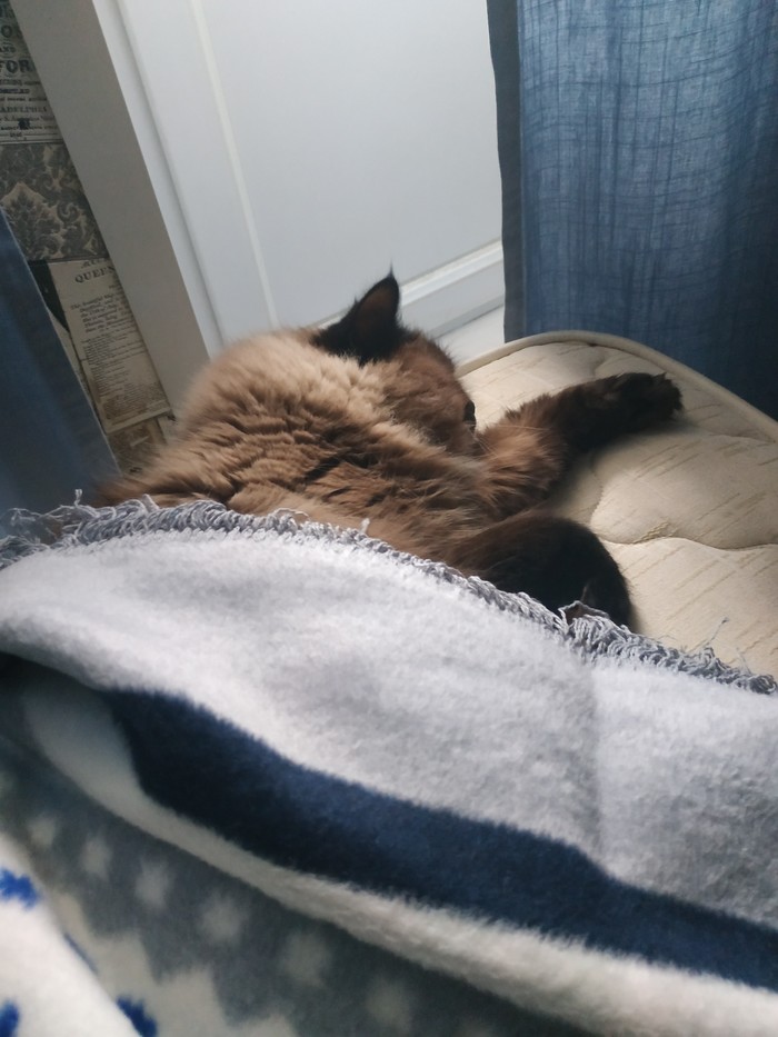 ��� �� ����� ���� ����, �� �� �������� ��� �� ���