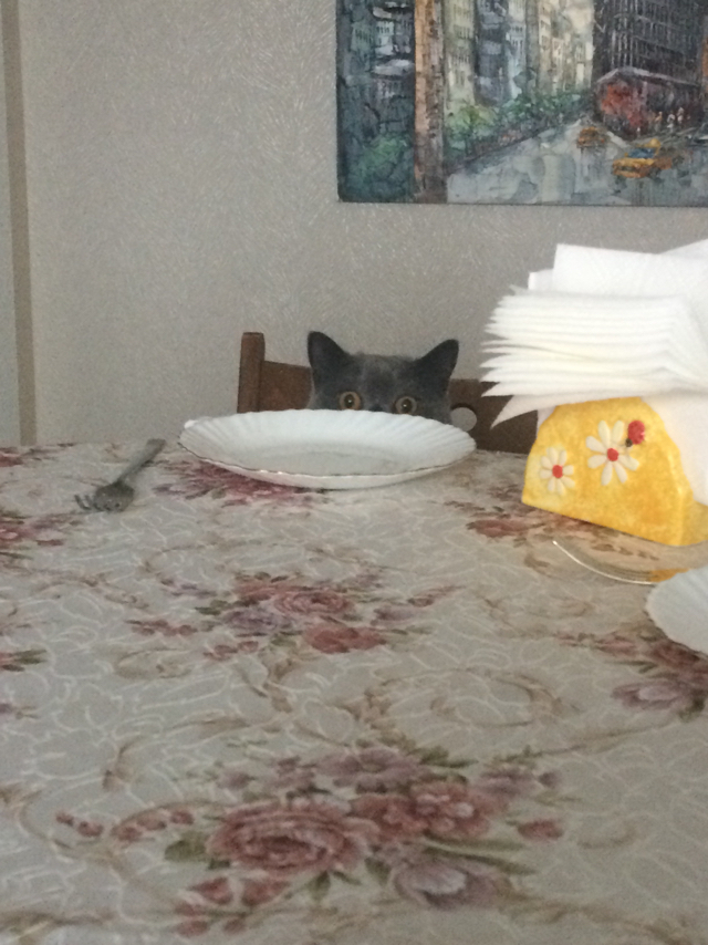 Когда кушоц?