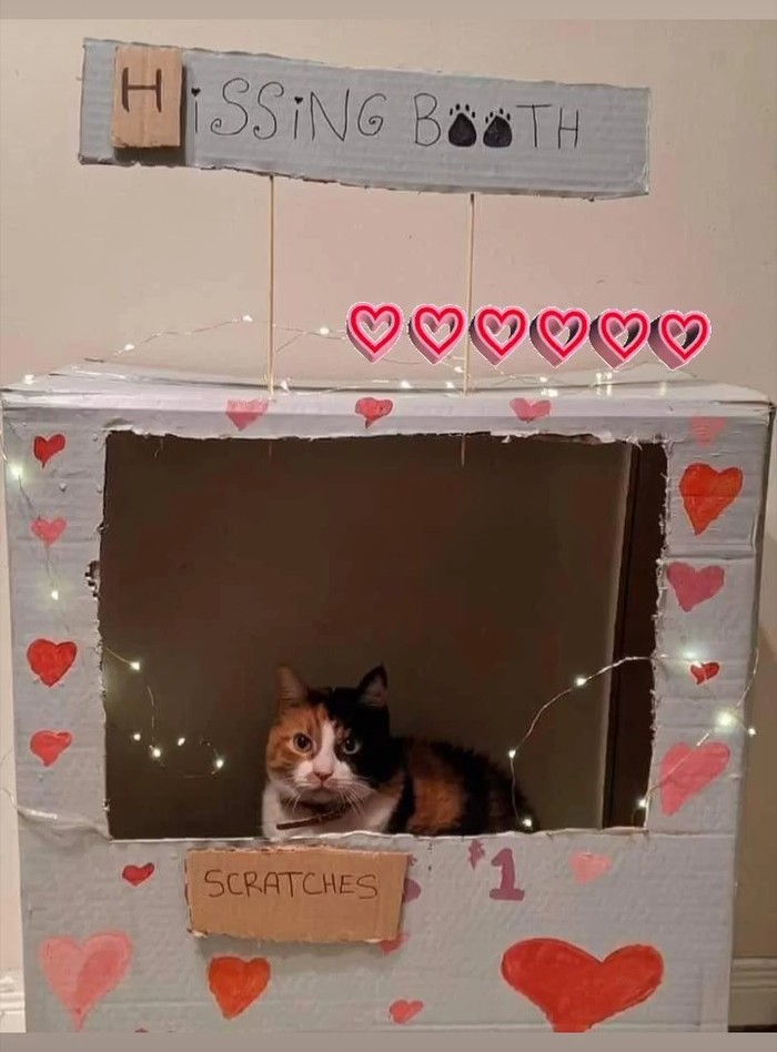 1581697526196587929 Будка поцелуев что это