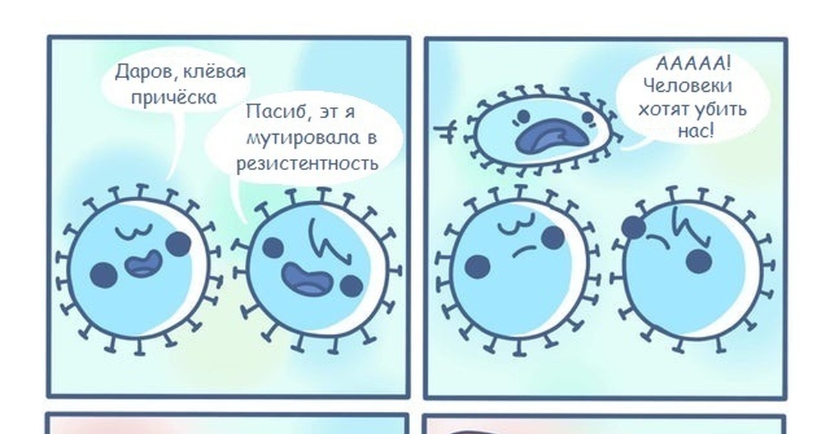 Опыт бухнера рисунок