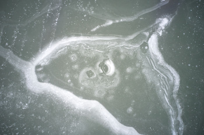 На что похож лёд?