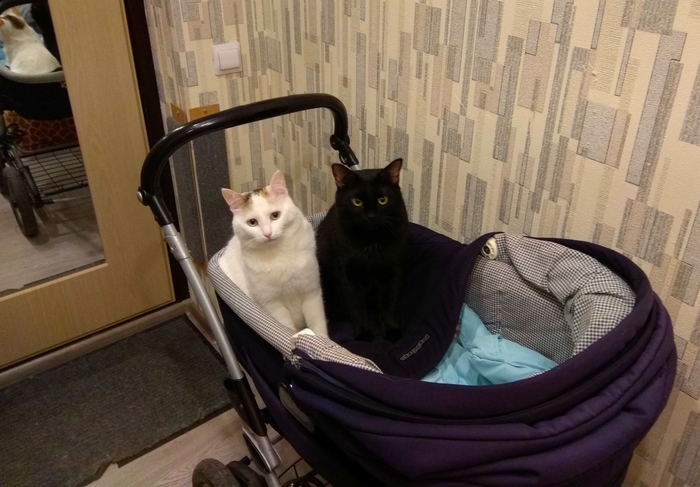 А нас когда покатают?